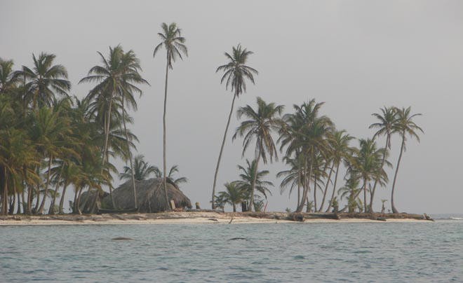 Every coconut tree is owned by someone © BW Media